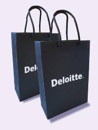 deloitte tas